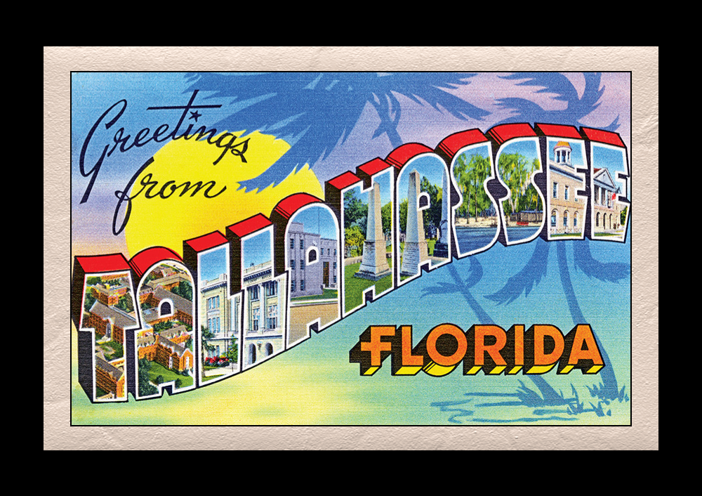 Greetings from Tallahassee Postcard